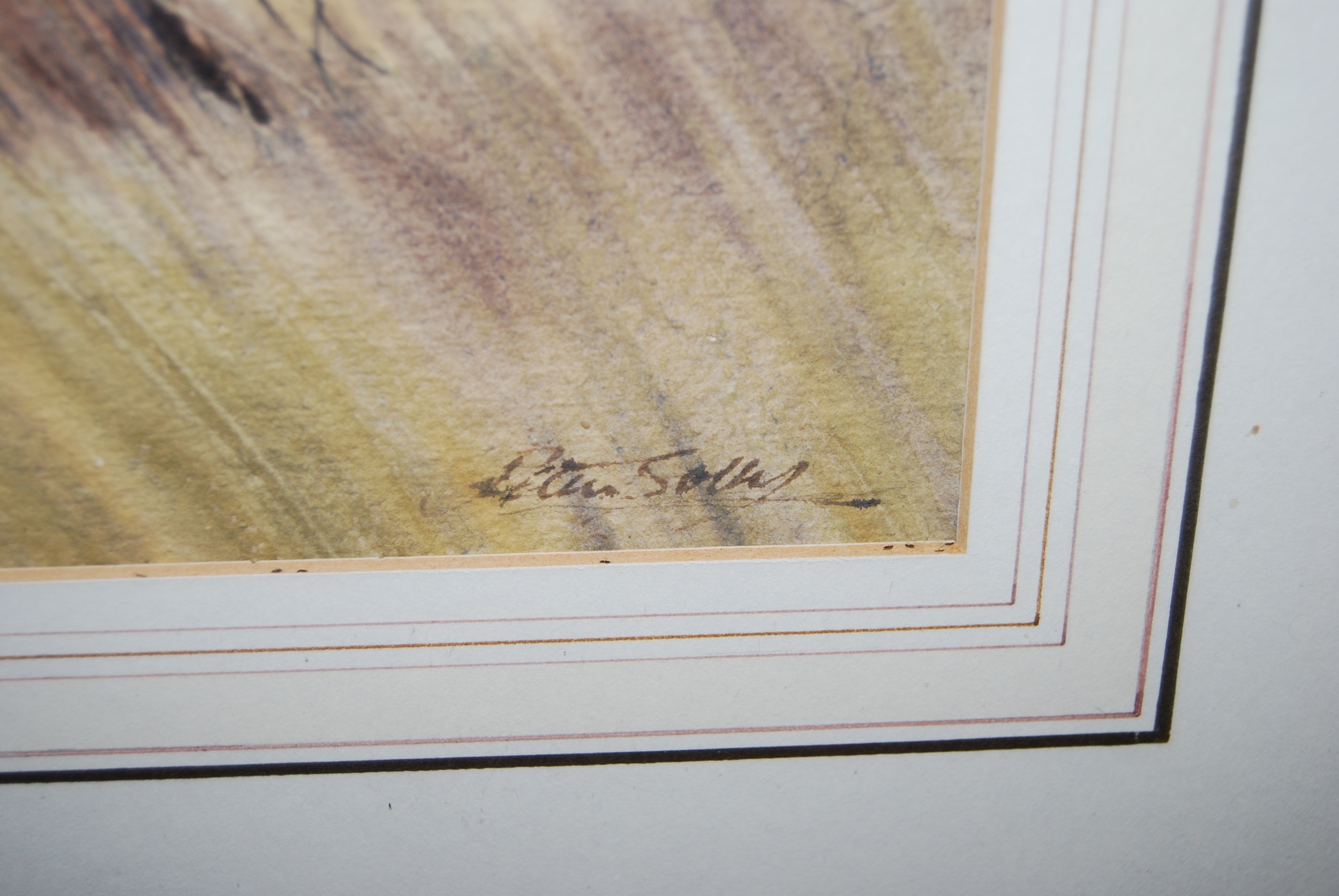 Artwork by Peter Solly, Peter Solly - Pair; Spring near Lyng and Elsing Mill, Made of watercolours