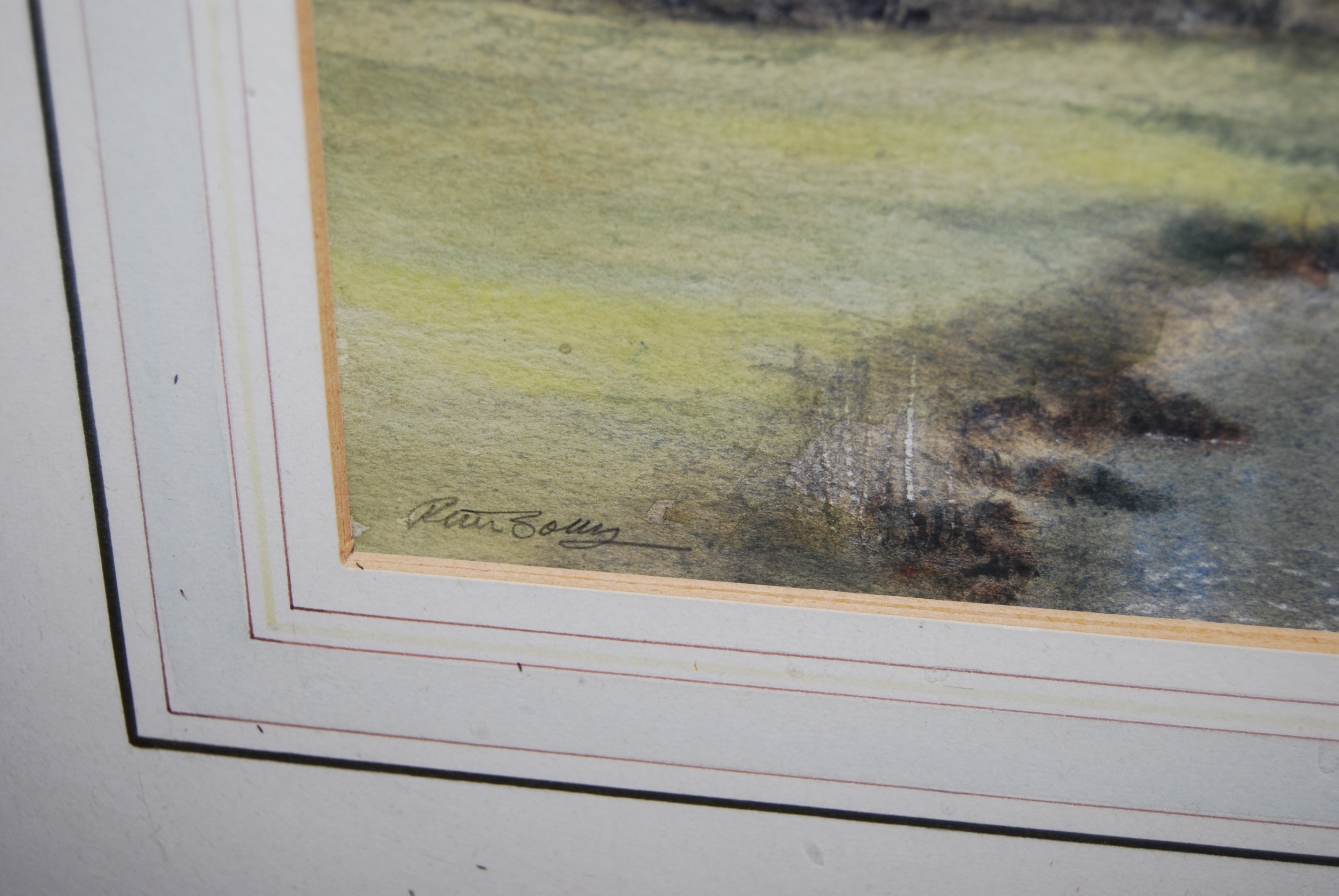 Artwork by Peter Solly, Peter Solly - Pair; Spring near Lyng and Elsing Mill, Made of watercolours