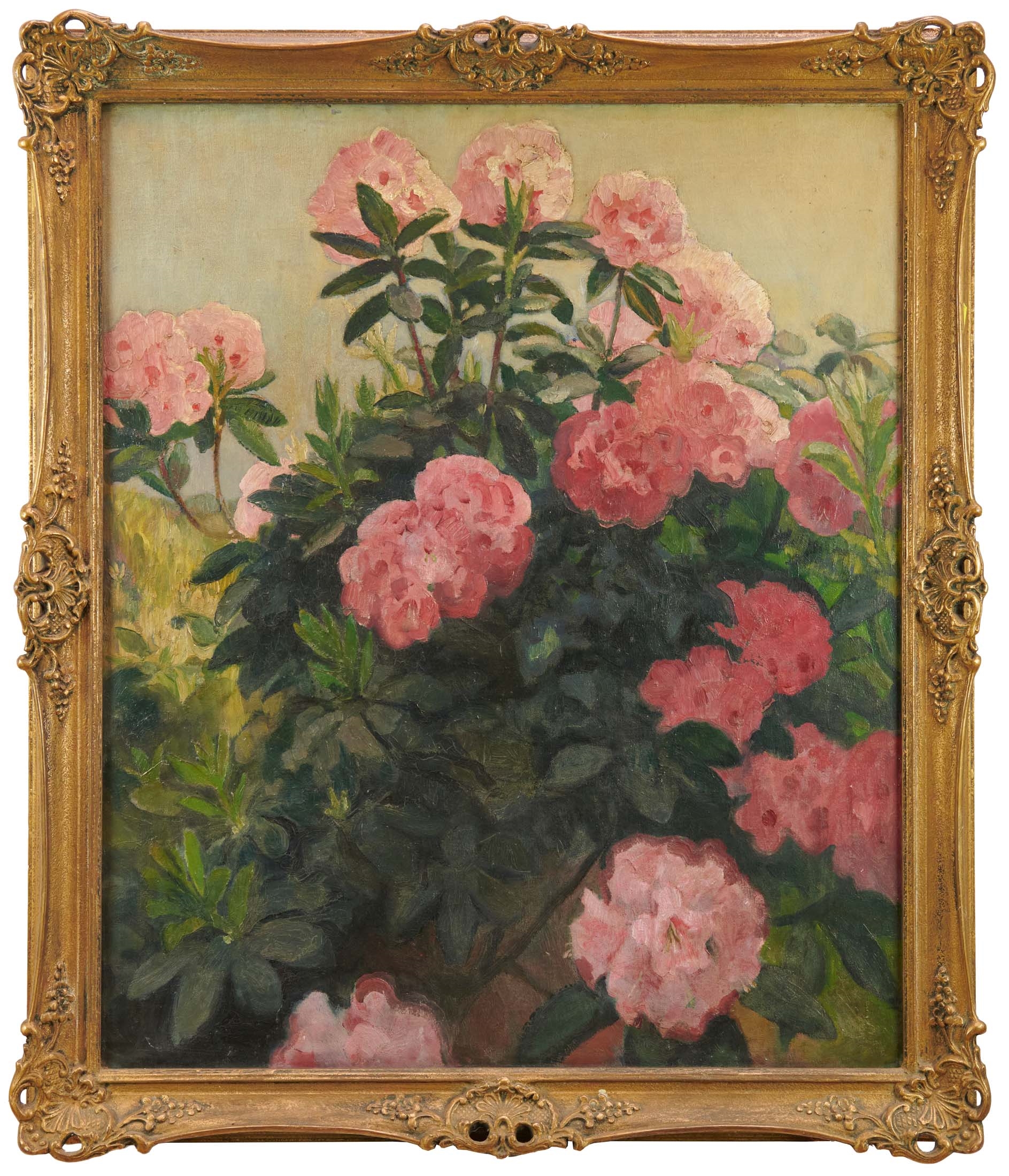 Artwork by Gerald Spencer Pryse, Rhododendron, Made of Oil on canvas