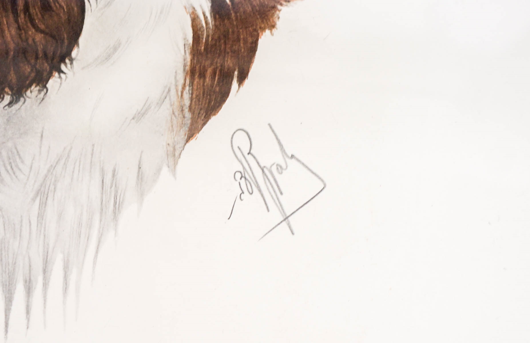 Boris Riab | Hunting Dog | MutualArt