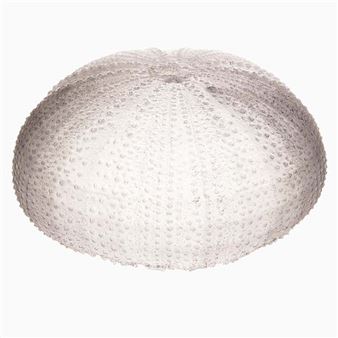 Gregor MacGregor: No Direction Home - Perth Centre for Photography