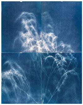 Eric William Carroll: Field Recordings - EUQINOM Gallery