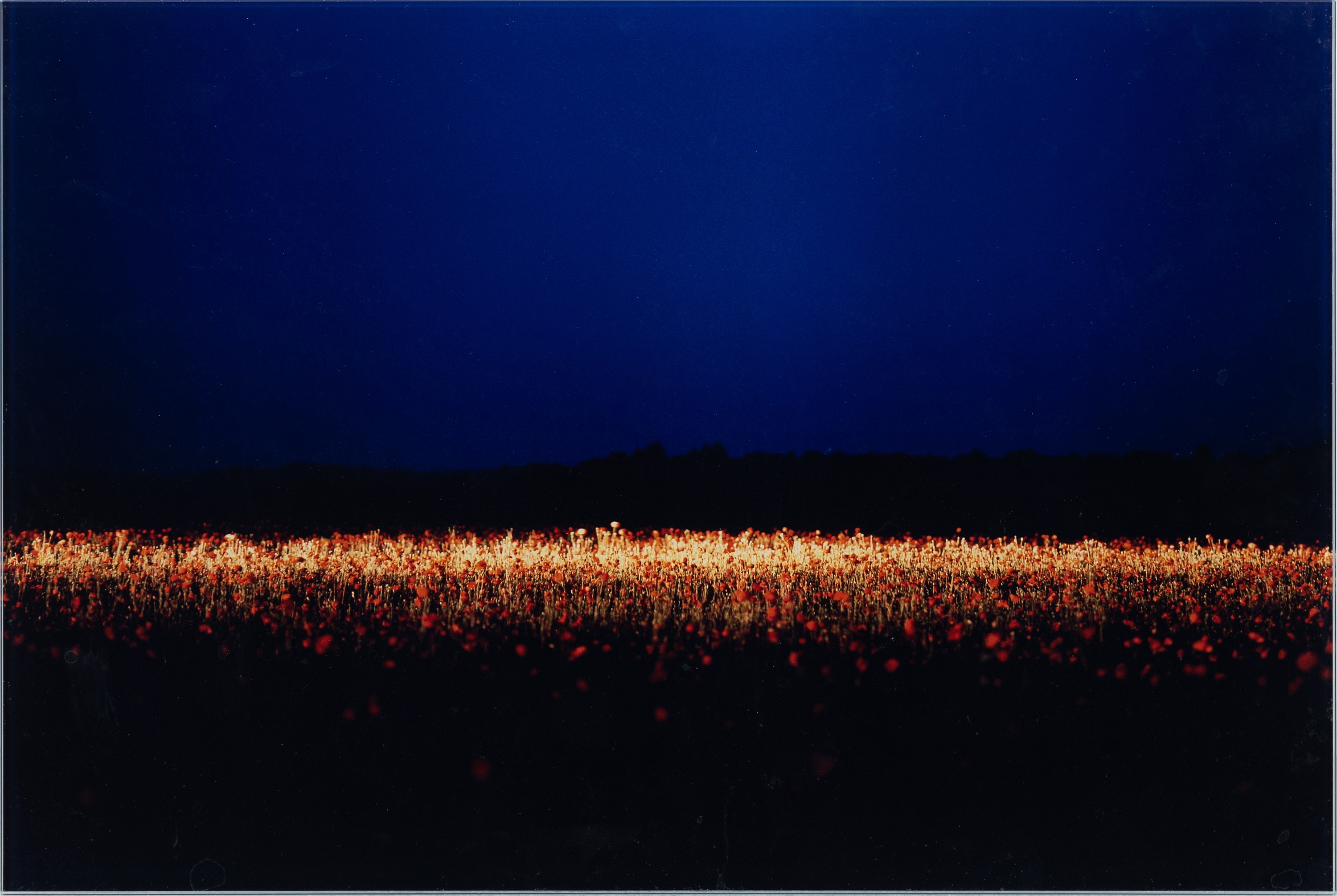 Artwork by Daniel Sandberg, Fields #11, Made of C print mounted