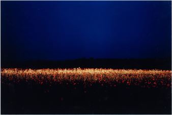 Fields #11 - Daniel Sandberg