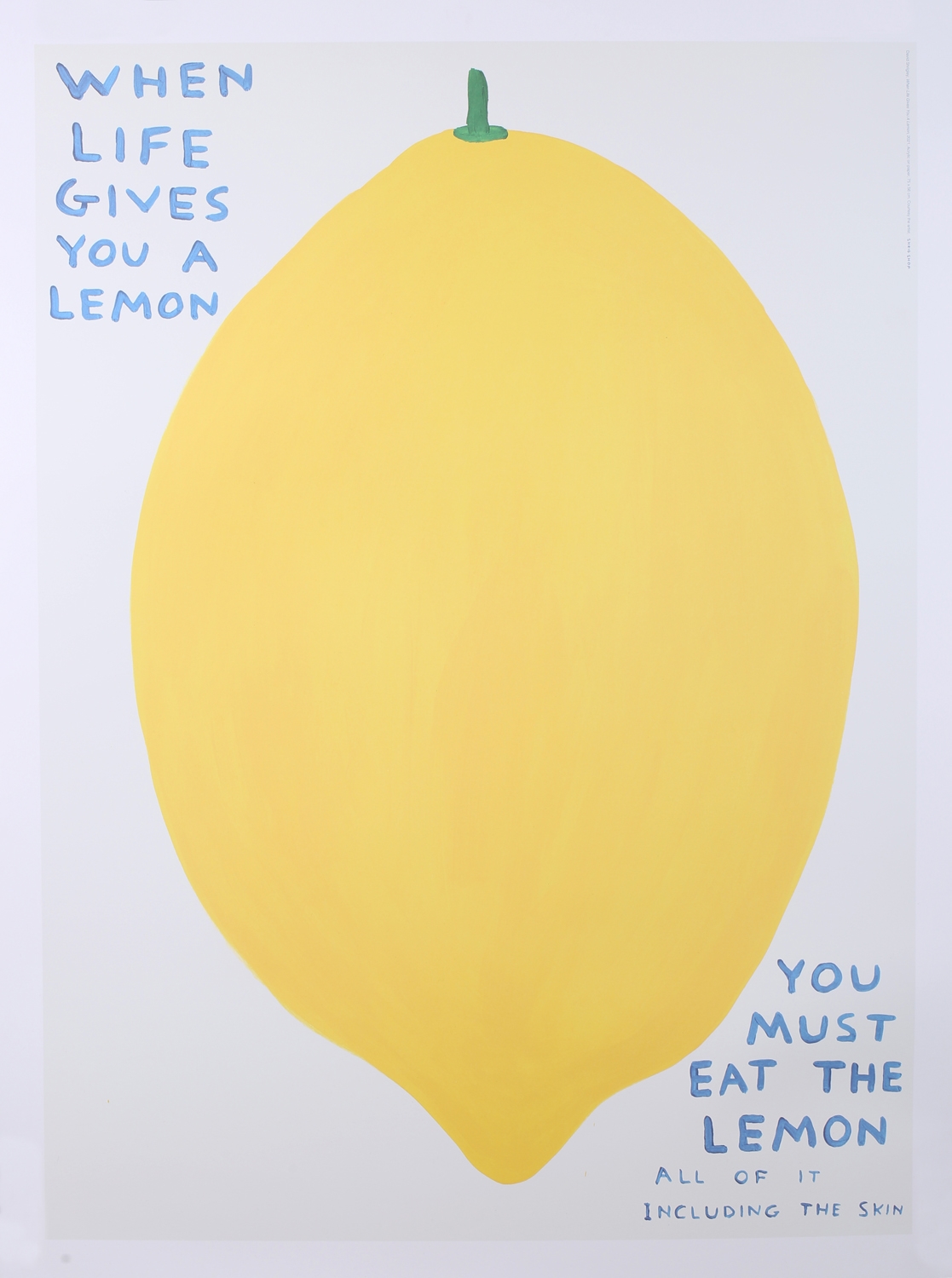 David Shrigley When Life Gives You a Lemon, You Must Eat the Lemon