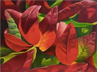 Aloma Treister: My Neighbours’ Gardens - fortyfivedownstairs