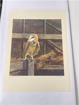 Barn Owl Bruce Lattig Print - John Craighead