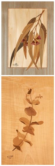 Eucalyptus Gummifera; Eucalyptus Cinerea by Michael Retter, 2012 and 1991