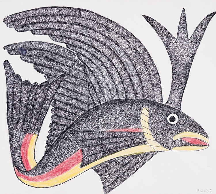 Artwork by Kenojuak Ashevak, Fish, Made of mixed media on paper