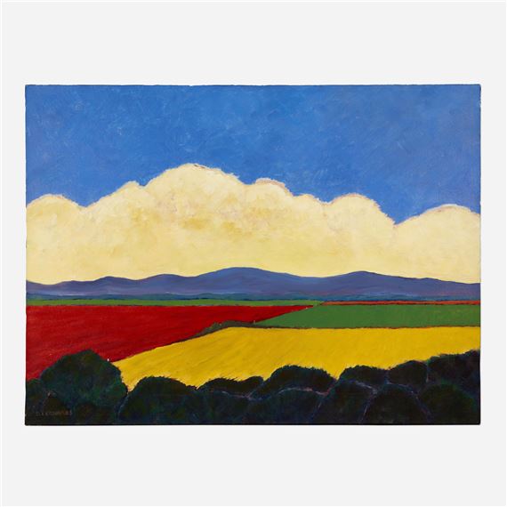 Mixed Fields by David J. Edwards