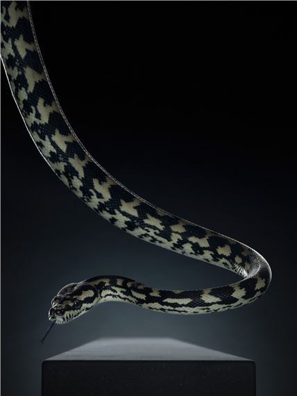 Your Life. Photography from the KWS Collection - Museum Franz Gertsch