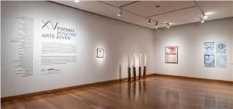 Exposición Colectiva Premio Mavi Uc Arte Joven 2022 - MAVI, Museo de Artes Visuales