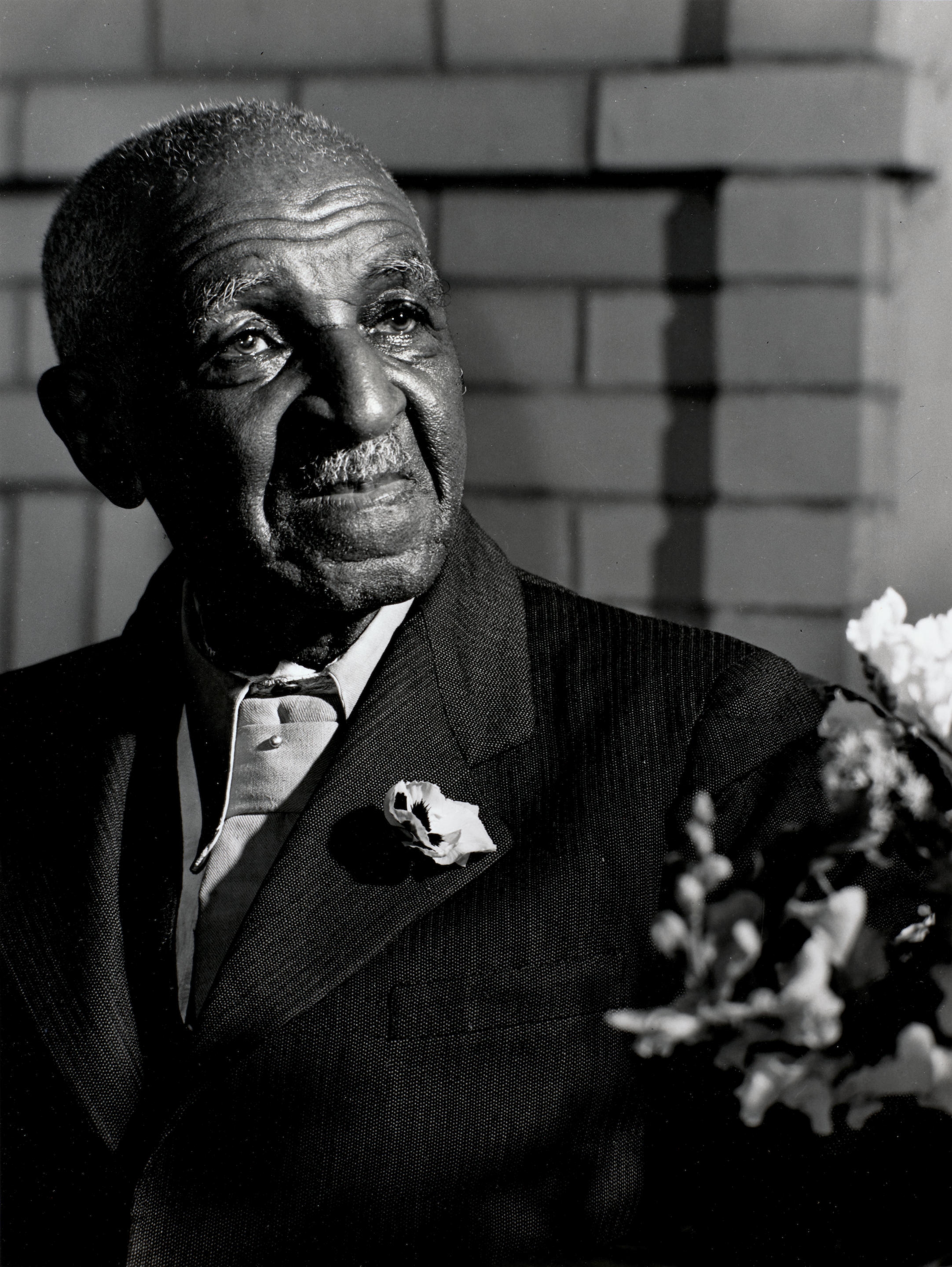 Arthur Rothstein | George Washington Carver | MutualArt