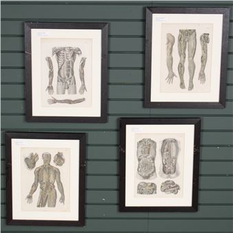 4 Anatomic Des Mensohen - C. E. Bock