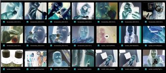 Allan Gardner: Indifferent Stars - NO Gallery