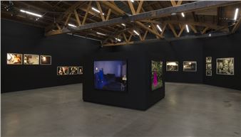 The Dark, Too, Blooms and Sings - UTA Artist Space, Los Angeles