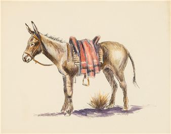 Untitled (Burro) - Anthony E. Begay