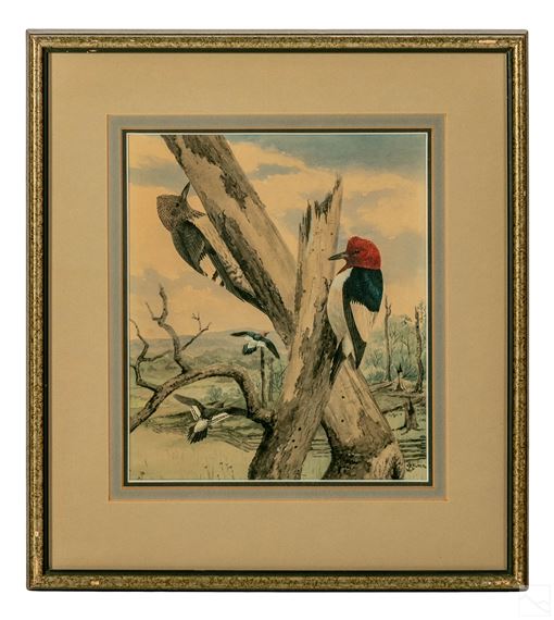 Edmund Joseph Sawyer | A ornithological bird study depicting ...