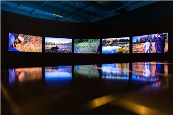 Vignettes from A Divided Landscape