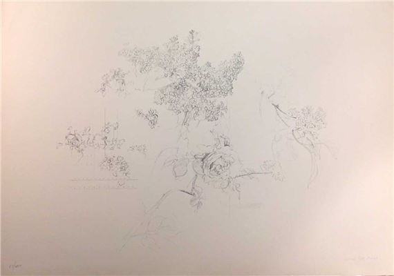 Antonio López García | Antonio López García (Tomelloso | MutualArt
