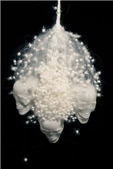 Interview with Aomi Kikuchi