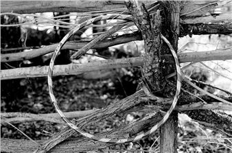 Tyna Ontko: The Shape of Evidence - Gallery 4Culture