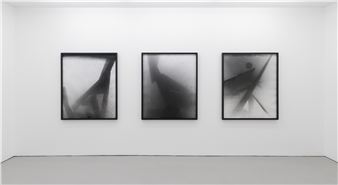 Joyce Campbell: The Sunken City - Bartley + Company Art