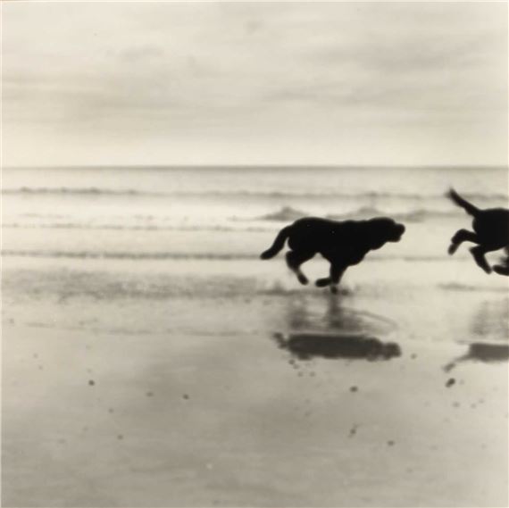 Anthony Jones | The Golden Elephant (20) | MutualArt