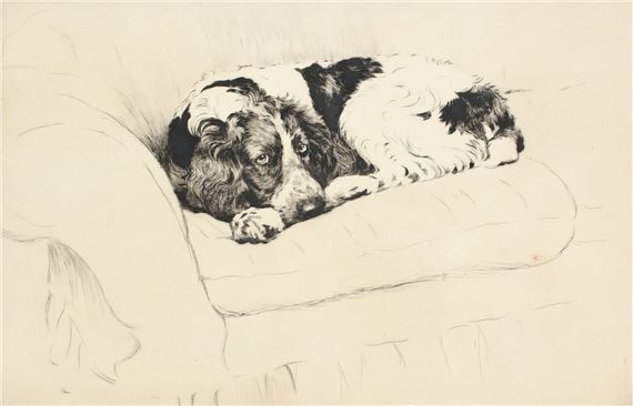 I'm Not Allowed on This Sofa by Cecil Aldin