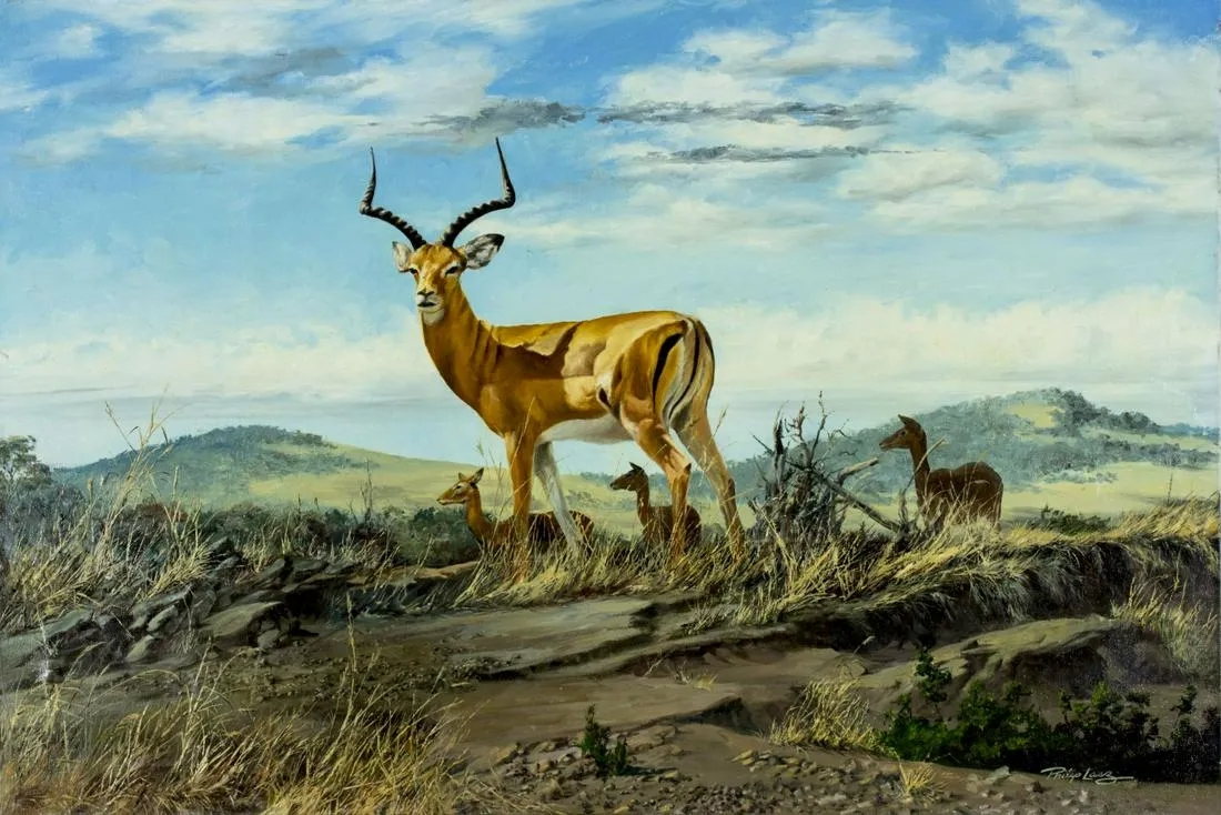 Philip Lasz | Antelope in Africa | MutualArt