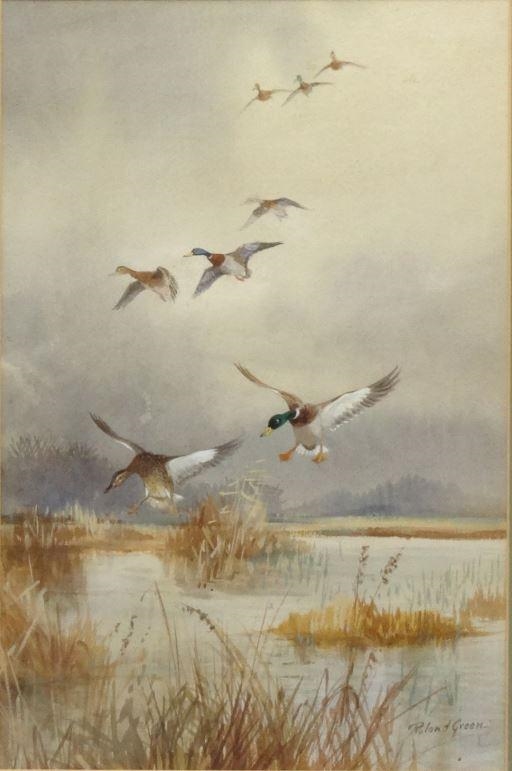 Roland Green Framed original Roland Green watercolour of ducks in