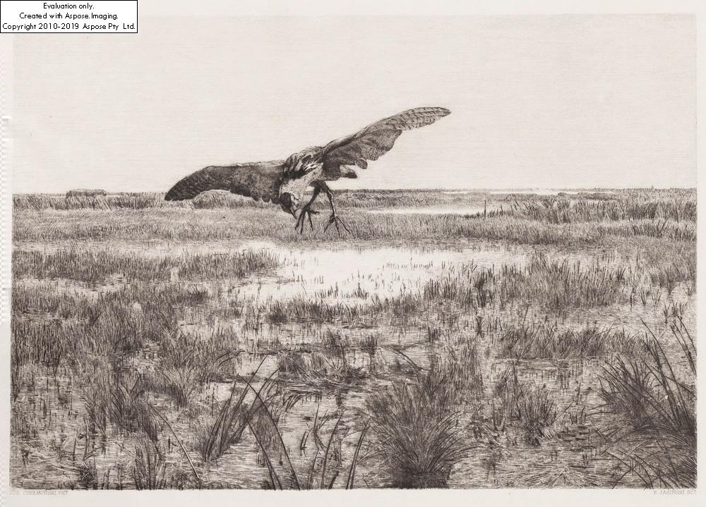 Artwork by Felix Stanislas Jasinski, Wetland after Józef Chełmoński, Made of drypoint