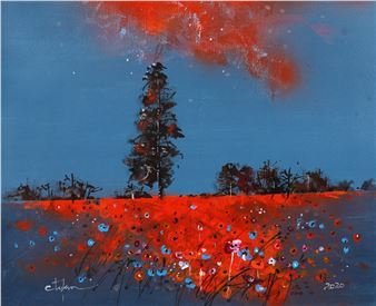 Câmp cu maci - Constantin Tofan