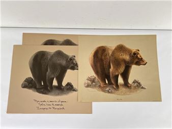 Bear Prints - Iwogene Farnsworth