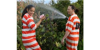 Prison Nation - Artis—Naples, The Baker Museum