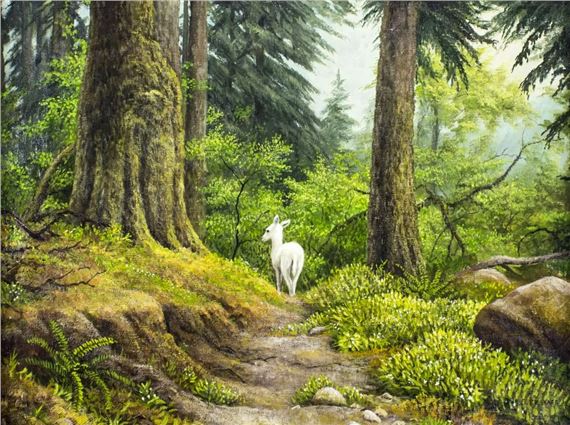 Rain Forest Landscape - James Faulkner