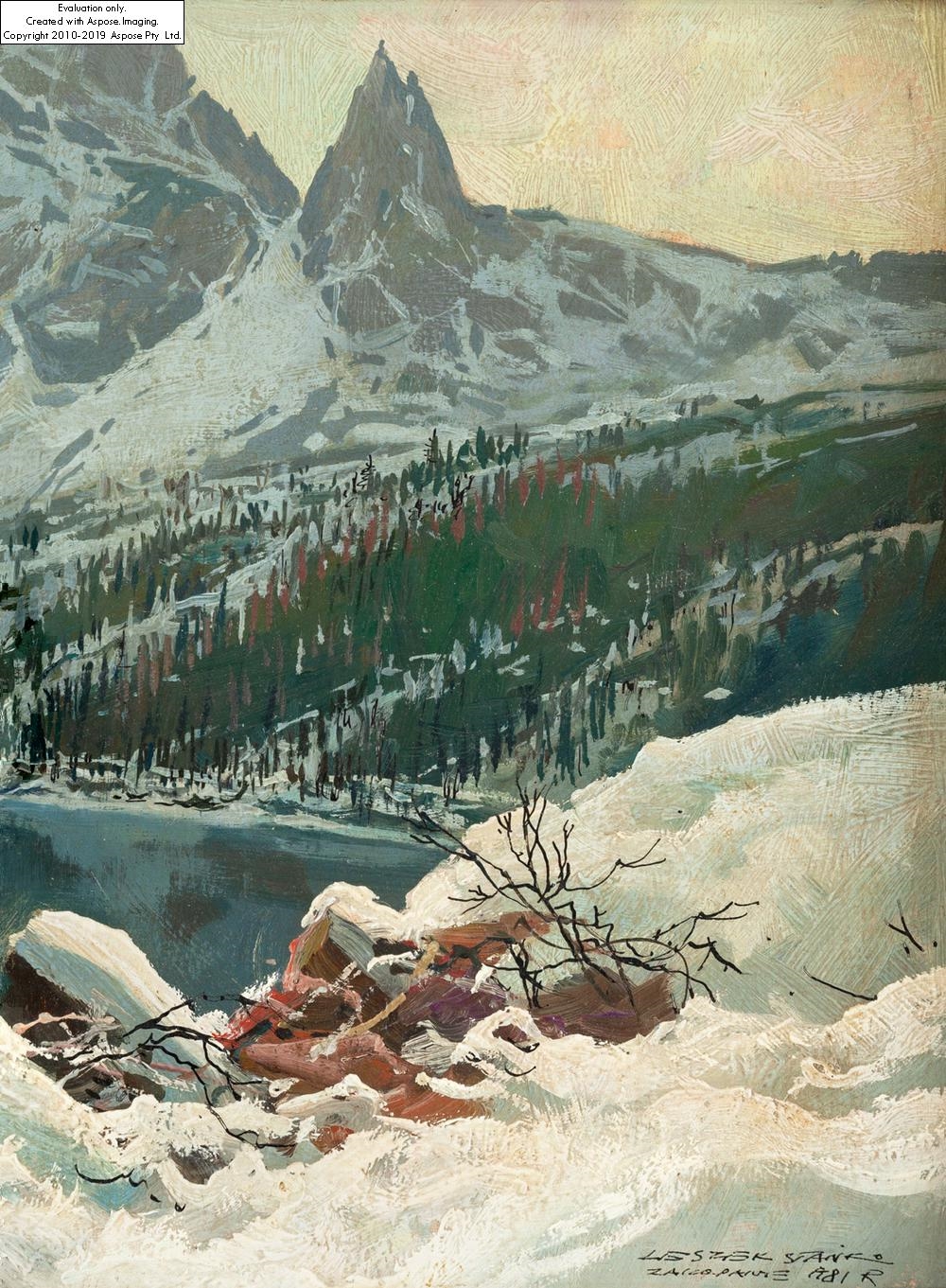 Leszek Stańko | Morskie Oko (1981) | MutualArt