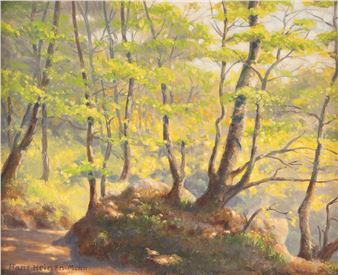 SONNIGER WALD - Hans Heinen