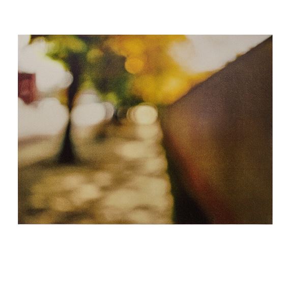 Uta Barth | Field #23 | MutualArt