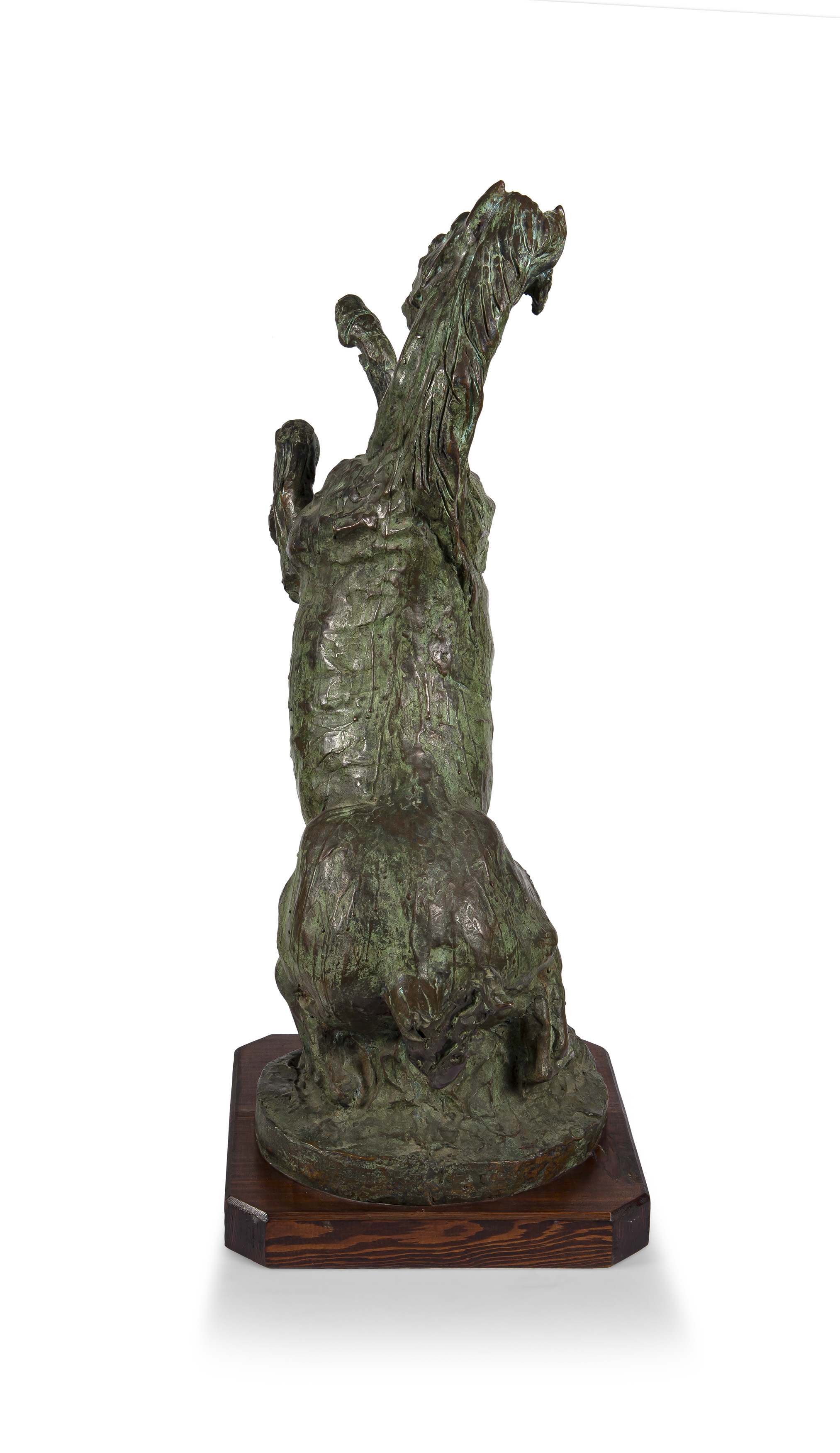 Artwork by Abramini Giuseppe, Horse, Made of bronze on wooden base