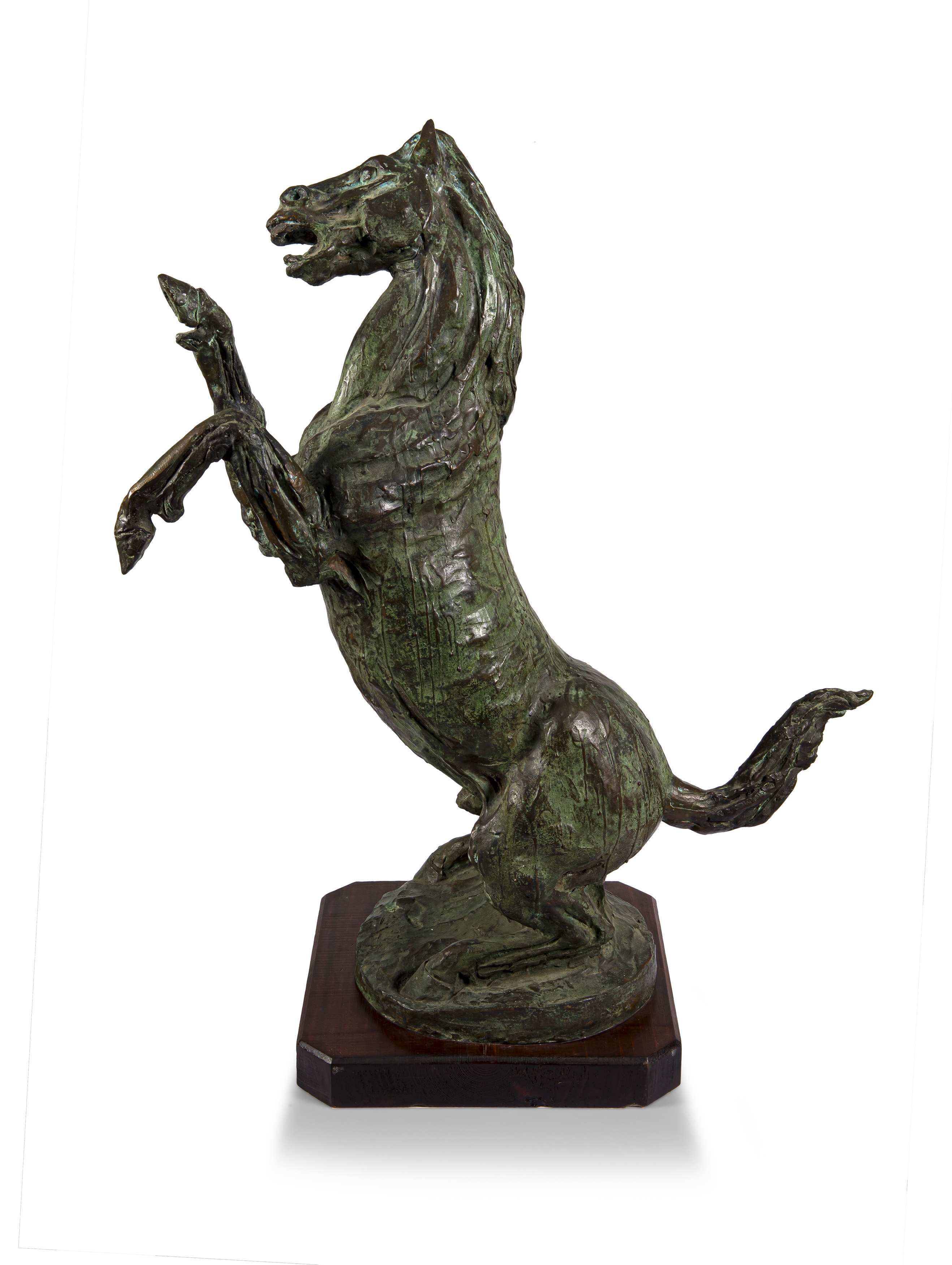 Artwork by Abramini Giuseppe, Horse, Made of bronze on wooden base