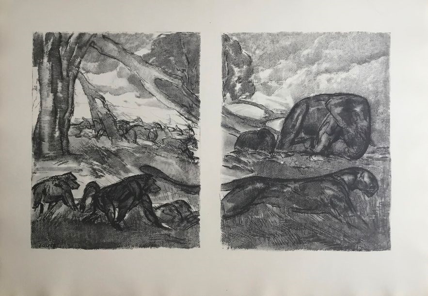 La Comédie Animale Par André Demaison – Illustrations Deluermoz – Relié 1930