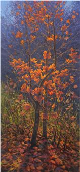 Rocky Mountain Maple - Bruce Graham