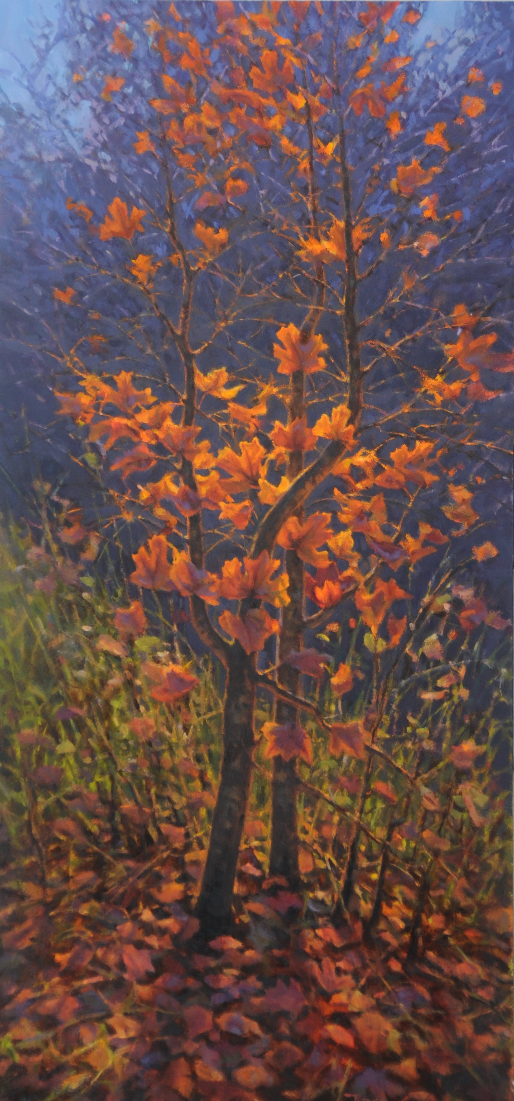 Artwork by Bruce Graham, Rocky Mountain Maple, Made of Oil