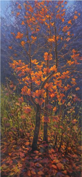 Rocky Mountain Maple - Bruce Graham