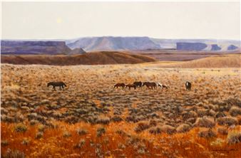 Wild Mustangs of the Red Desert - Dan Dernovich