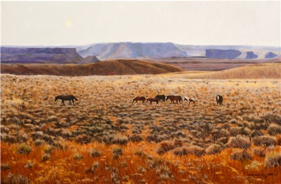 Wild Mustangs of the Red Desert by Dan Dernovich