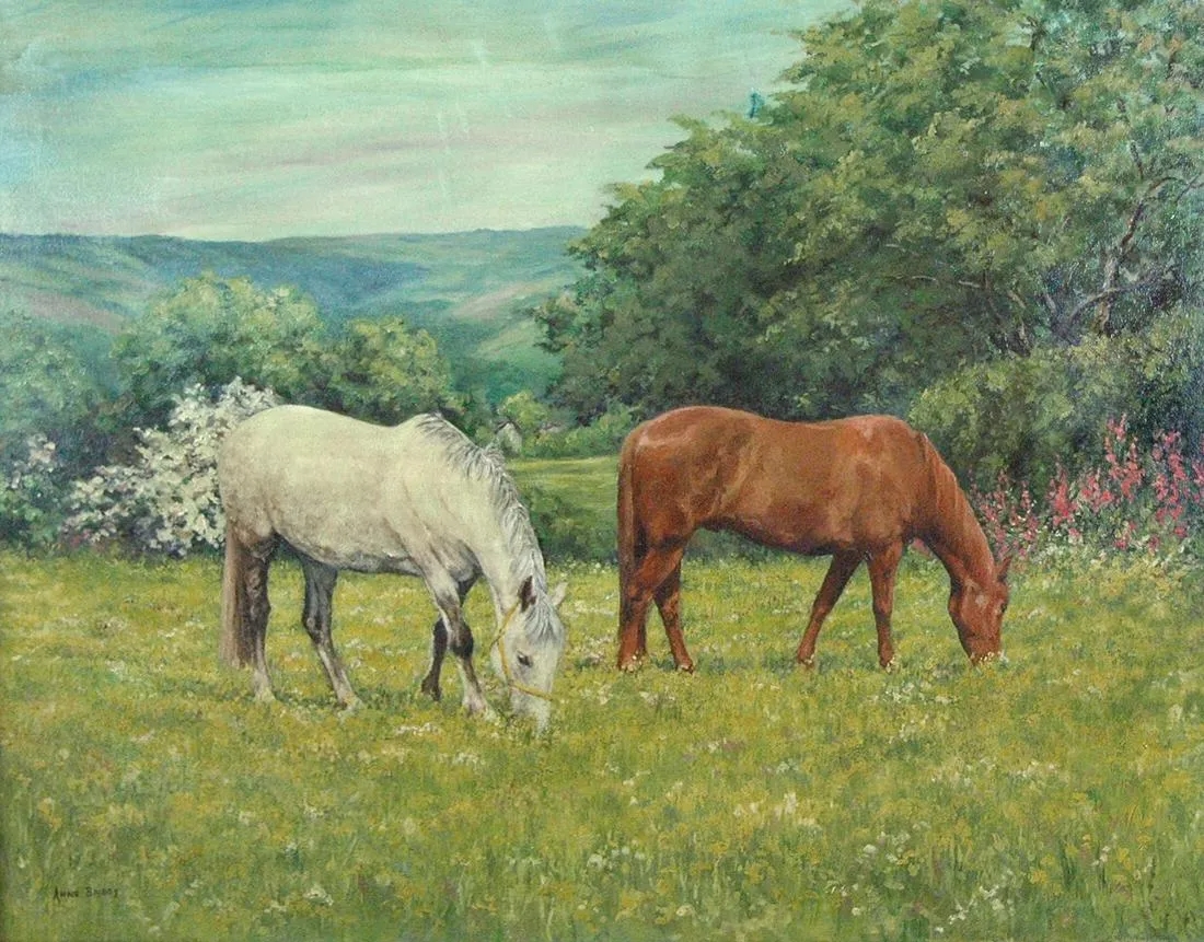 Anne Briggs | Summit Meadow | MutualArt