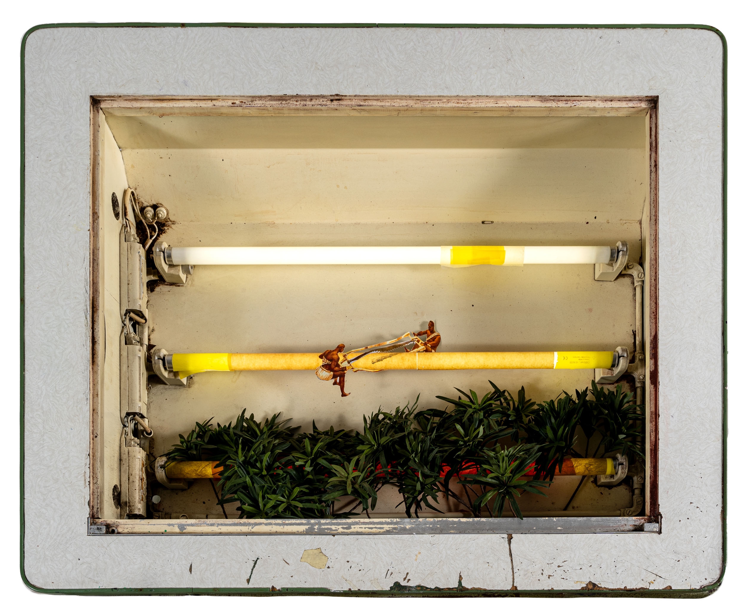 Artwork by Benjamin Saurer, Untitled, Made of lightbox, neon