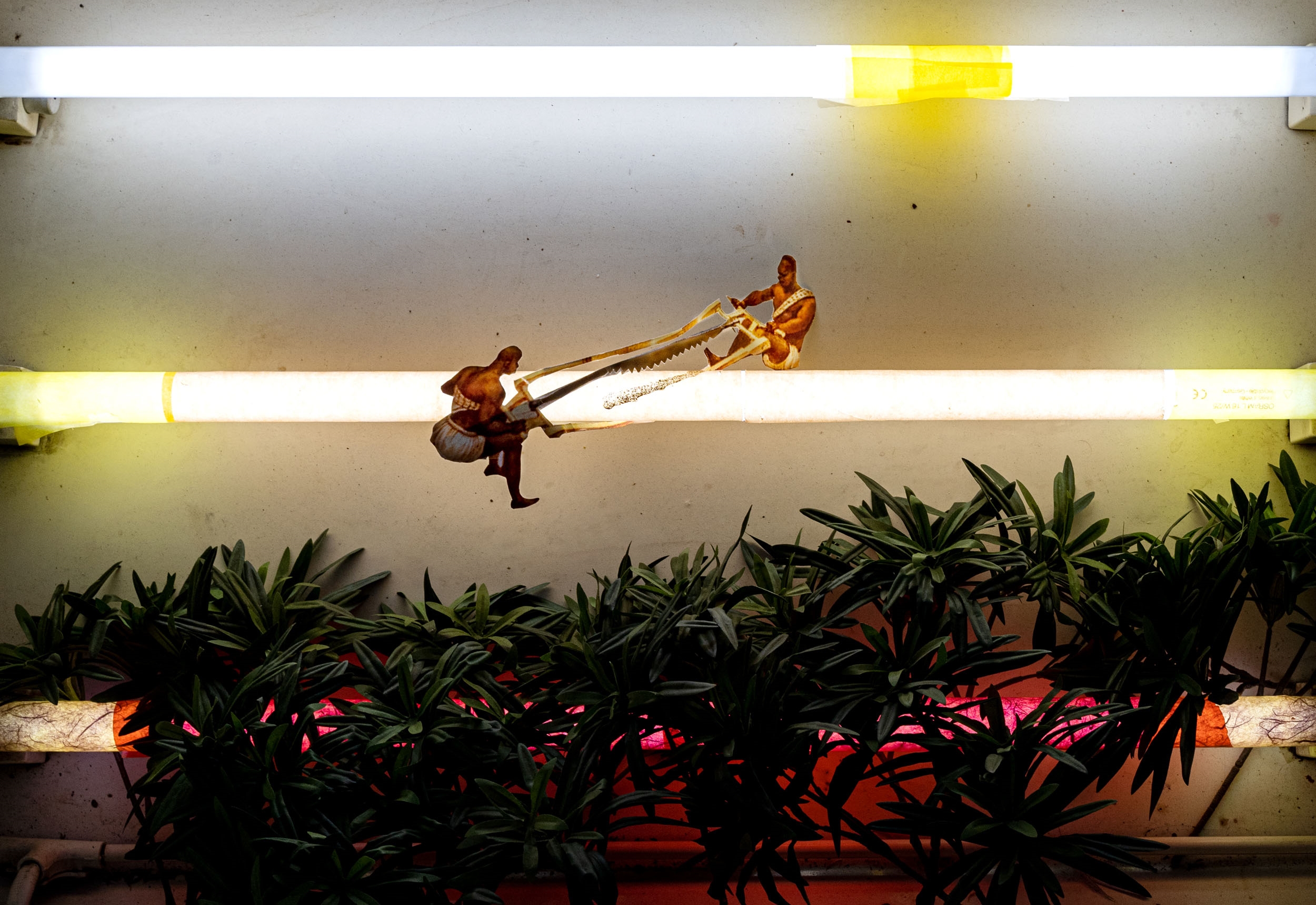 Artwork by Benjamin Saurer, Untitled, Made of lightbox, neon